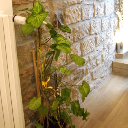 Bed and Breakfast Il Casale Del Borgo Cancellara Екстер'єр фото